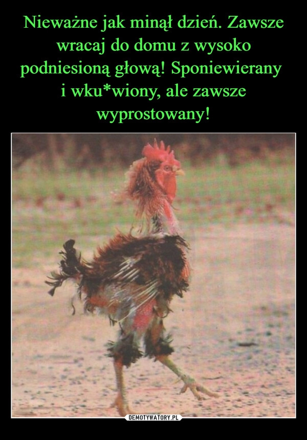 
    Nieważne jak minął dzień. Zawsze wracaj do domu z wysoko podniesioną głową! Sponiewierany 
i wku*wiony, ale zawsze wyprostowany!