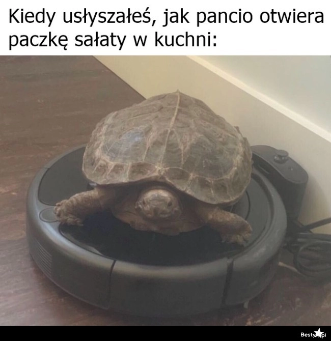 
    No to w drogę 