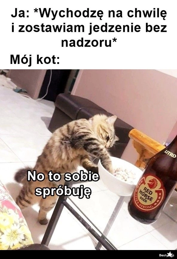 
    Tak to się kończy 