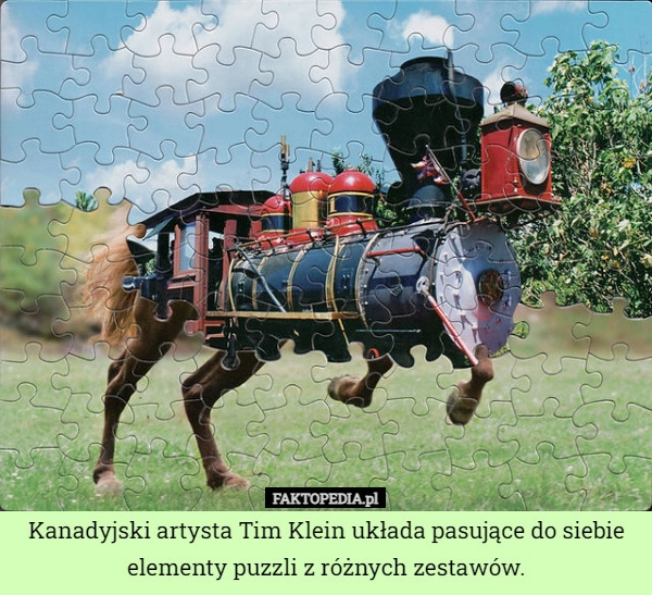 
    Kanadyjski artysta Tim Klein układa pasujące do siebie elementy puzzli z