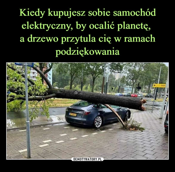 
    Kiedy kupujesz sobie samochód elektryczny, by ocalić planetę, 
a drzewo przytula cię w ramach podziękowania