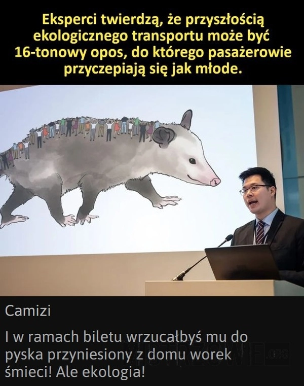 
    Ekologiczny transport