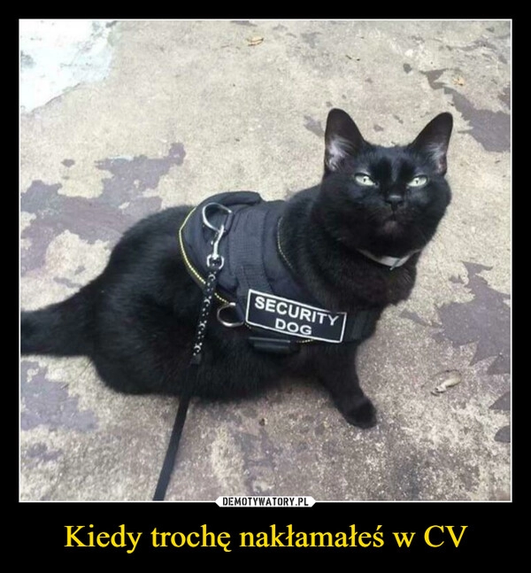 
    Kiedy trochę nakłamałeś w CV