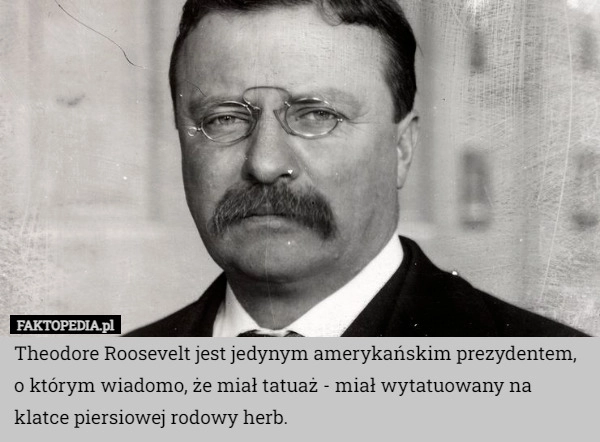 
    Theodore Roosevelt jest jedynym amerykańskim prezydentem, o którym wiadomo,