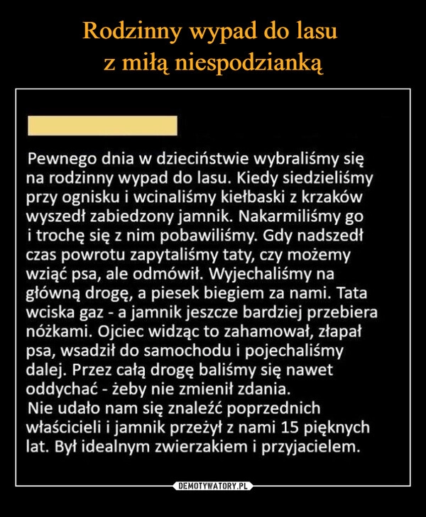 
    Rodzinny wypad do lasu 
z miłą niespodzianką