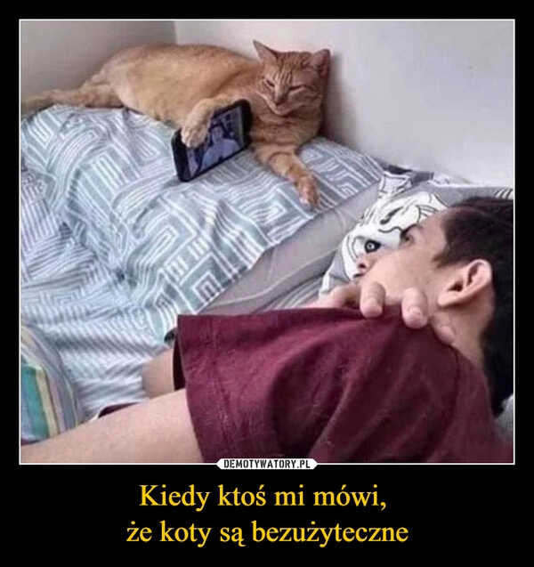 
    Kiedy ktoś mi mówi, 
że koty są bezużyteczne