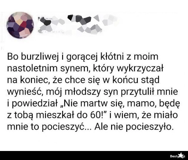 
    Mały pocieszyciel 