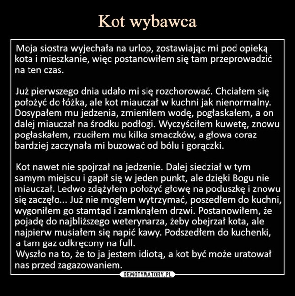 
    Kot wybawca