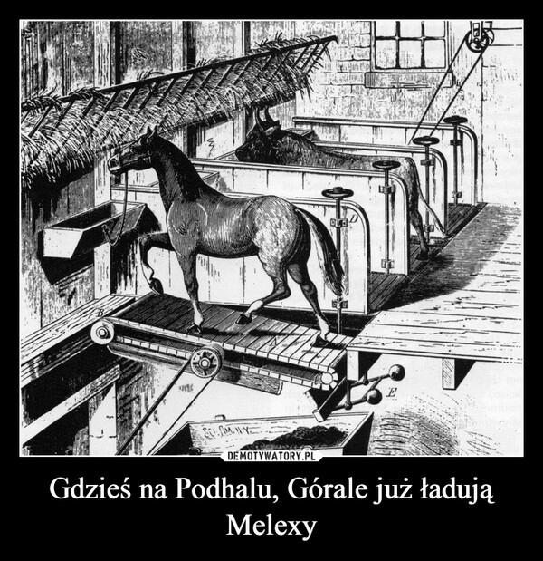 
    Gdzieś na Podhalu, Górale już ładują Melexy