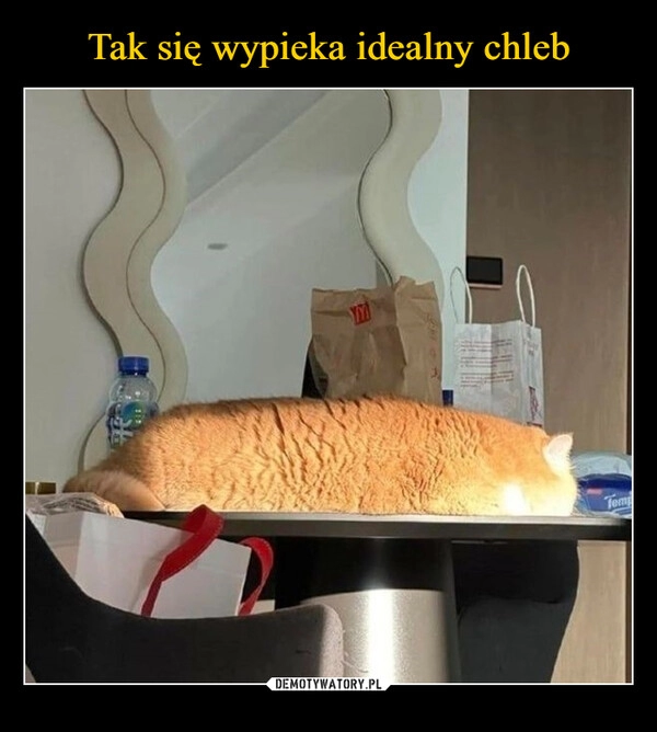 
    Tak się wypieka idealny chleb