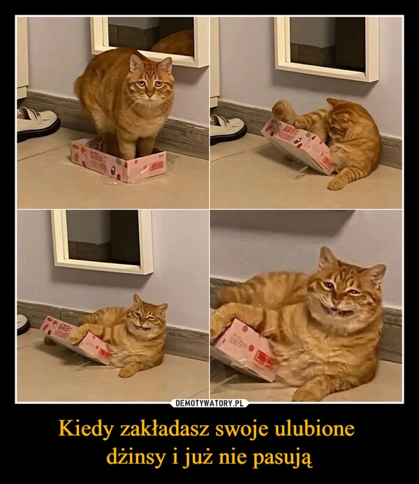 
    Kiedy zakładasz swoje ulubione 
dżinsy i już nie pasują