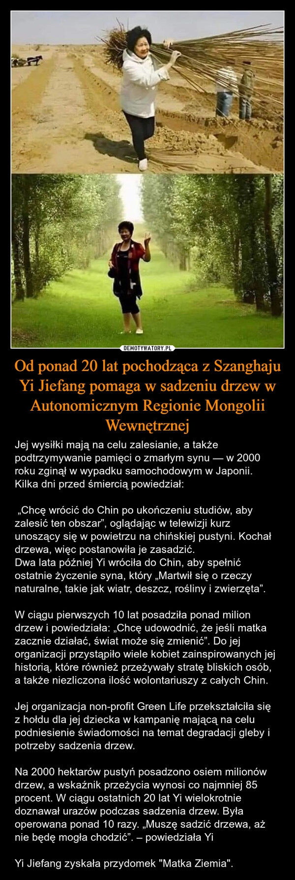 
    Od ponad 20 lat pochodząca z Szanghaju Yi Jiefang pomaga w sadzeniu drzew w Autonomicznym Regionie Mongolii Wewnętrznej