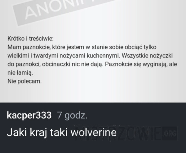 
    Paznokcie