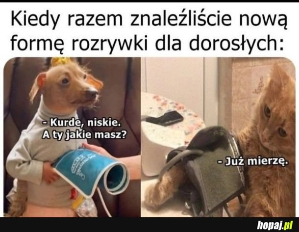 
    Staroś nie radoś