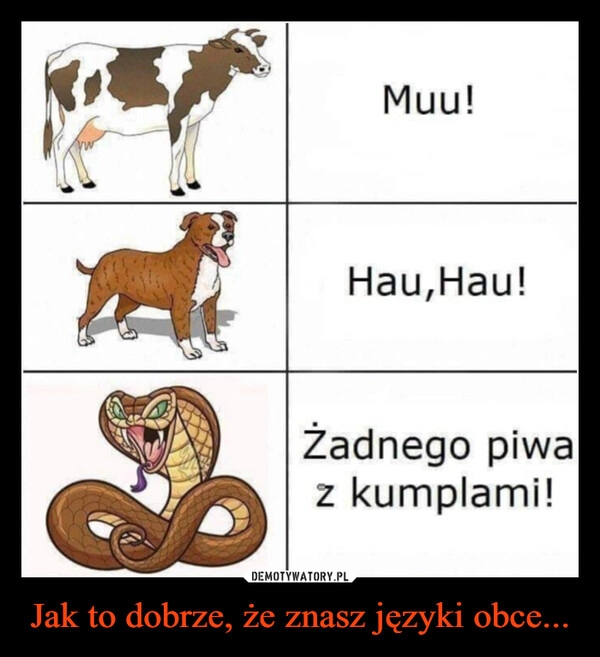 
    Jak to dobrze, że znasz języki obce...