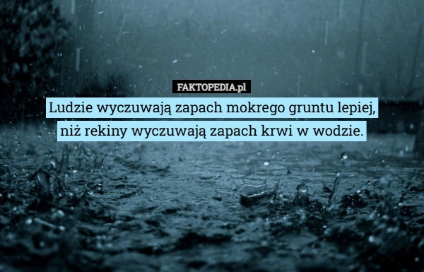 
    Ludzie wyczuwają zapach mokrego gruntu lepiej,
niż rekiny wyczuwają zapach