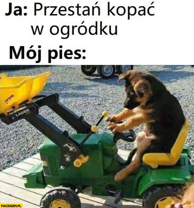 
    Ja przestań kopać w ogródko mój pies używa koparki