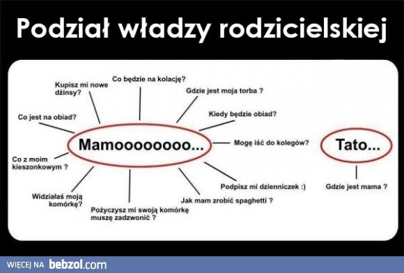 
    Podział władzy rodzicielskiej 