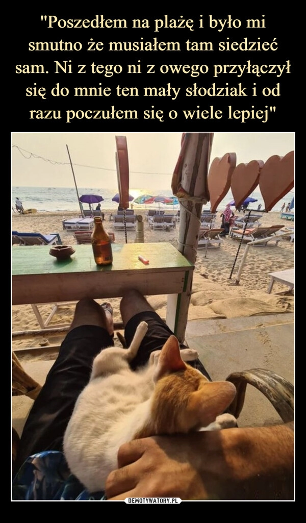 
    ''Poszedłem na plażę i było mi smutno że musiałem tam siedzieć sam. Ni z tego ni z owego przyłączył się do mnie ten mały słodziak i od razu poczułem się o wiele lepiej"