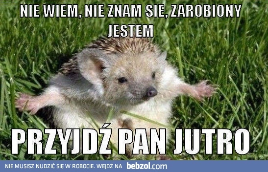 
    Nie znam się, zarobiony jestem