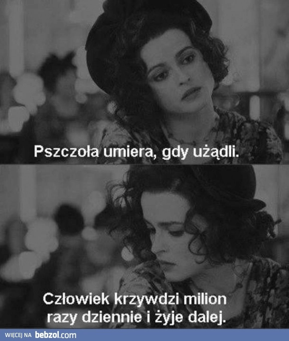 
    Pszczoła vs człowiek