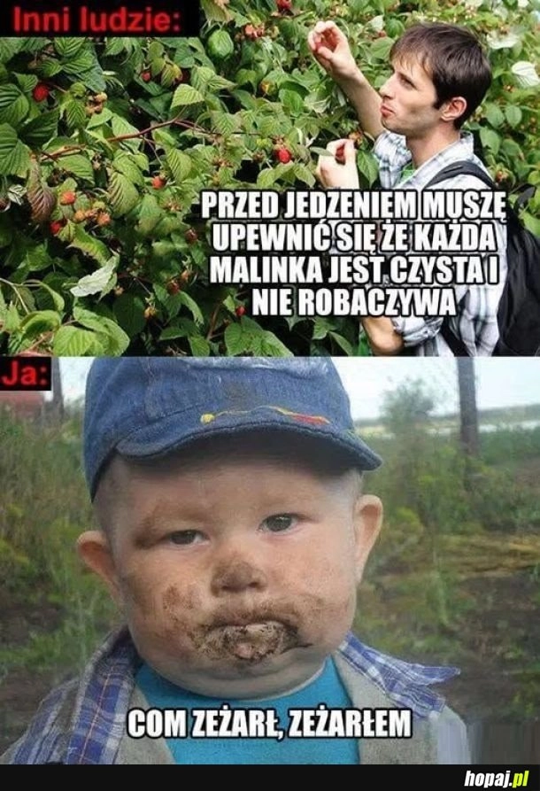 
    Maliny