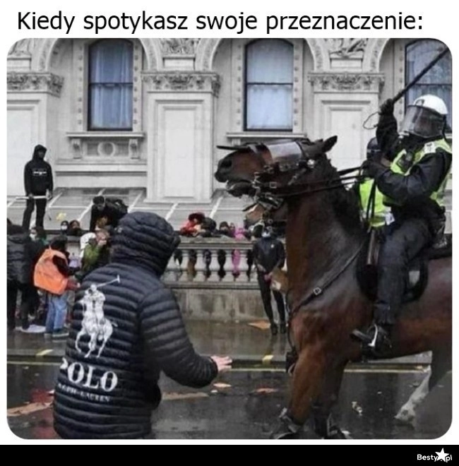 
    Spotkanie z przeznaczeniem 