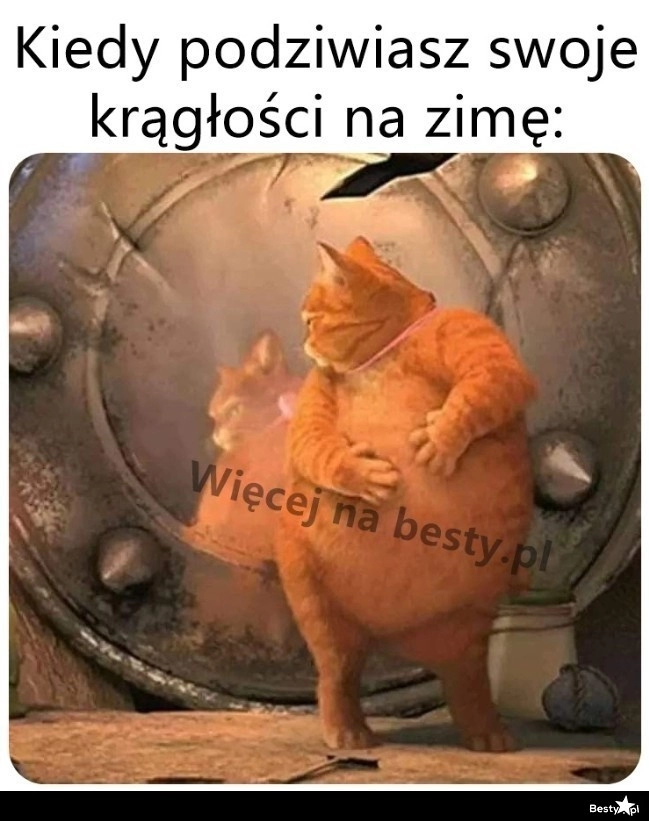 
    Zimowe krągłości 