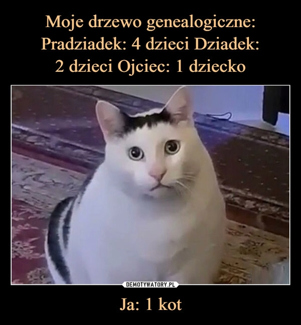 
    Moje drzewo genealogiczne:
Pradziadek: 4 dzieci Dziadek:
2 dzieci Ojciec: 1 dziecko Ja: 1 kot