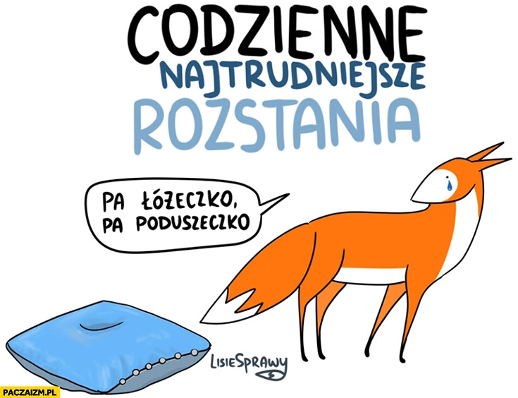 
    Codziennie najtrudniejsze rozstania pa łóżeczko, pa poduszeczko. Lisie sprawy