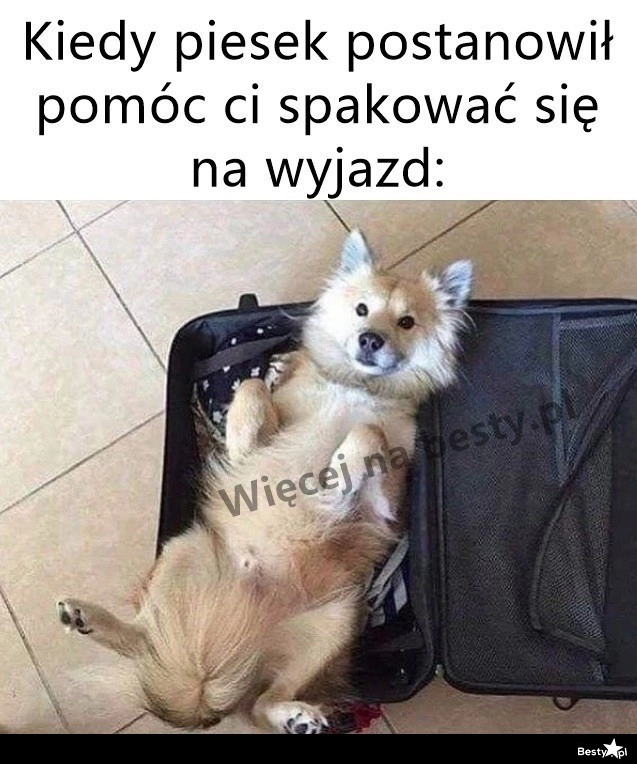 
    Ok, możemy jechać 