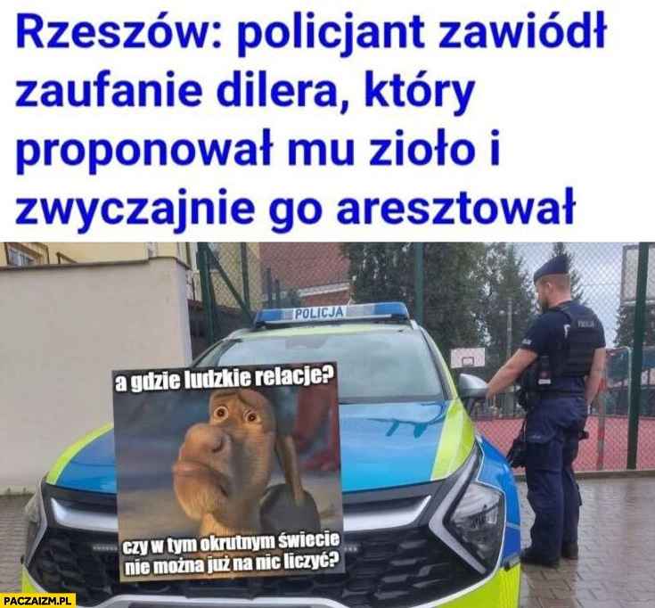 
    Rzeszów: policjant zawiódł zaufanie dilera który proponował mu zioło i zwyczajnie go aresztował