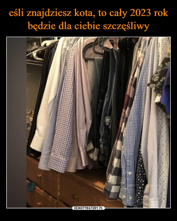 
    eśli znajdziesz kota, to cały 2023 rok będzie dla ciebie szczęśliwy 