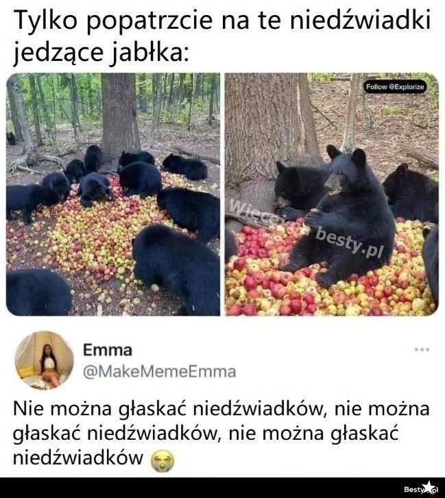 
    Takie słodkie, a takie groźne 