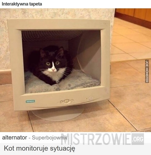 
    Interaktywna tapeta
