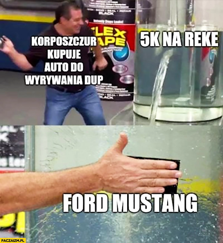 
    Korposzczur kupuje auto do wyrywania dup 5000 na rękę Ford Mustang