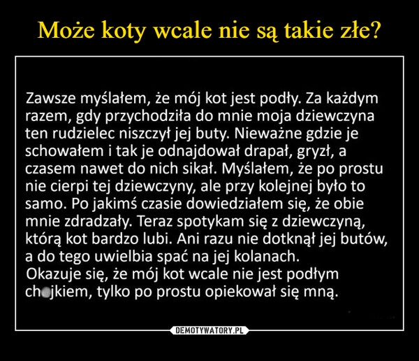 
    
Może koty wcale nie są takie złe? 