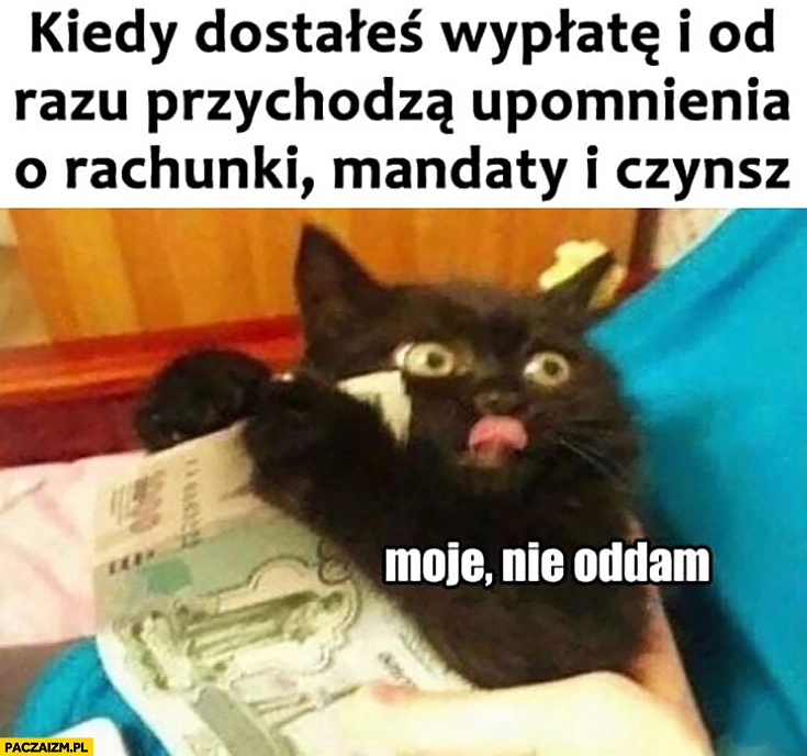 
    Kot kiedy dostałeś wypłatę i od razu przychodzą upomnienia o rachunki, mandaty i czynsz. Moje, nie oddam