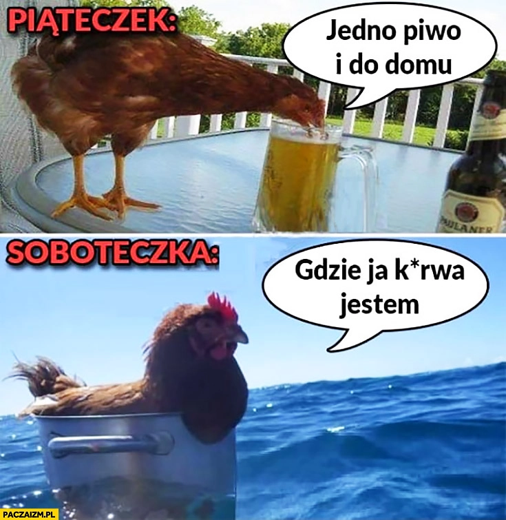 
    Kura piąteczek jedno piwo i do domu, sobota gdzie ja kurna jestem