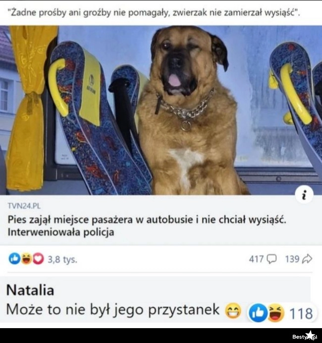 
    Piesek w autobusie 