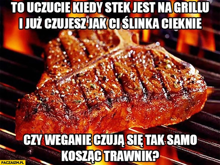 
    To uczucie kiedy stek jest na grillu i już czekasz jak Ci ślinka cieknie, czy weganie czują się tak samo kosząc trawnik?