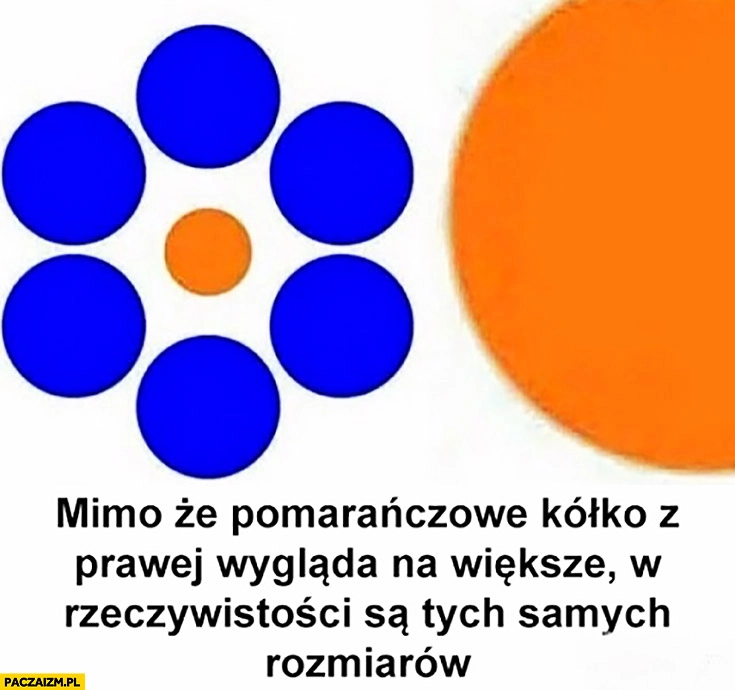 
    Mimo, że pomarańczowe kółko z prawej wygląda na większe w rzeczywistości są tych samych rozmiarów złudzenie optyczne
