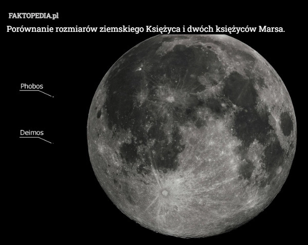 
    Porównanie rozmiarów ziemskiego Księżyca i dwóch księżyców Marsa.