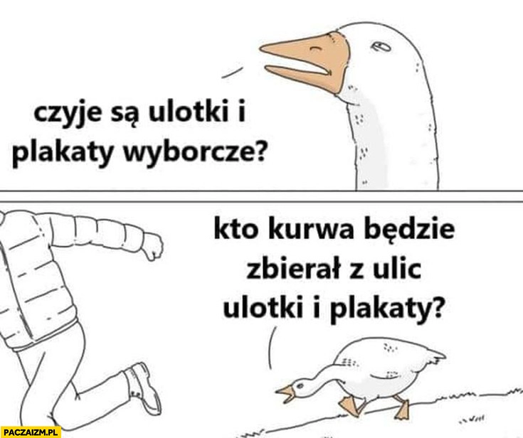 
    Gęś czyje są ulotki i plakaty wyborcze, kto będzie zbierał z ulic ulotki i plakaty?