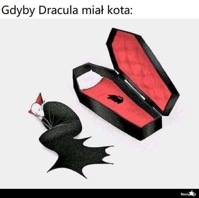 
    Gdyby Dracula miał kota: