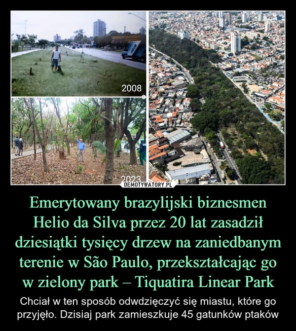 
    Emerytowany brazylijski biznesmen Helio da Silva przez 20 lat zasadził dziesiątki tysięcy drzew na zaniedbanym terenie w São Paulo, przekształcając go w zielony park – Tiquatira Linear Park
