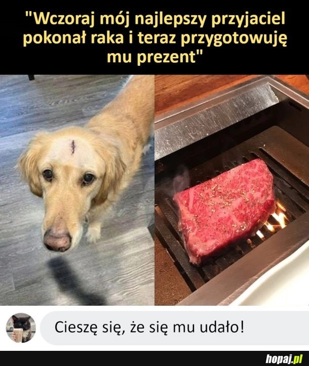 
    Dobre pieski zasługują na szczęśliwe życie