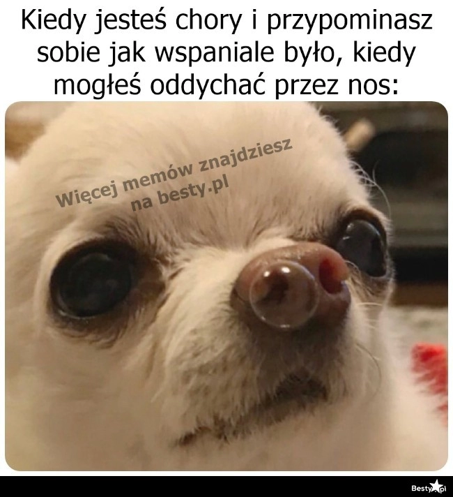 
    Niedoceniony komfort 