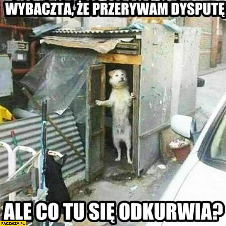 
    Wybaczta, że przerywam dysputę ale co tu się odkurnia? Zdziwiony pies