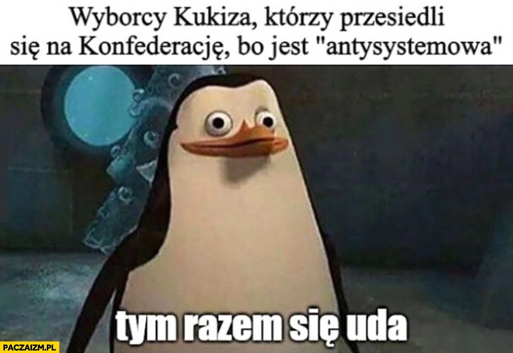 
    Wyborcy Kukiza którzy przesiedli się na Konfederację bo jest antysystemowa tym razem się uda pingwin